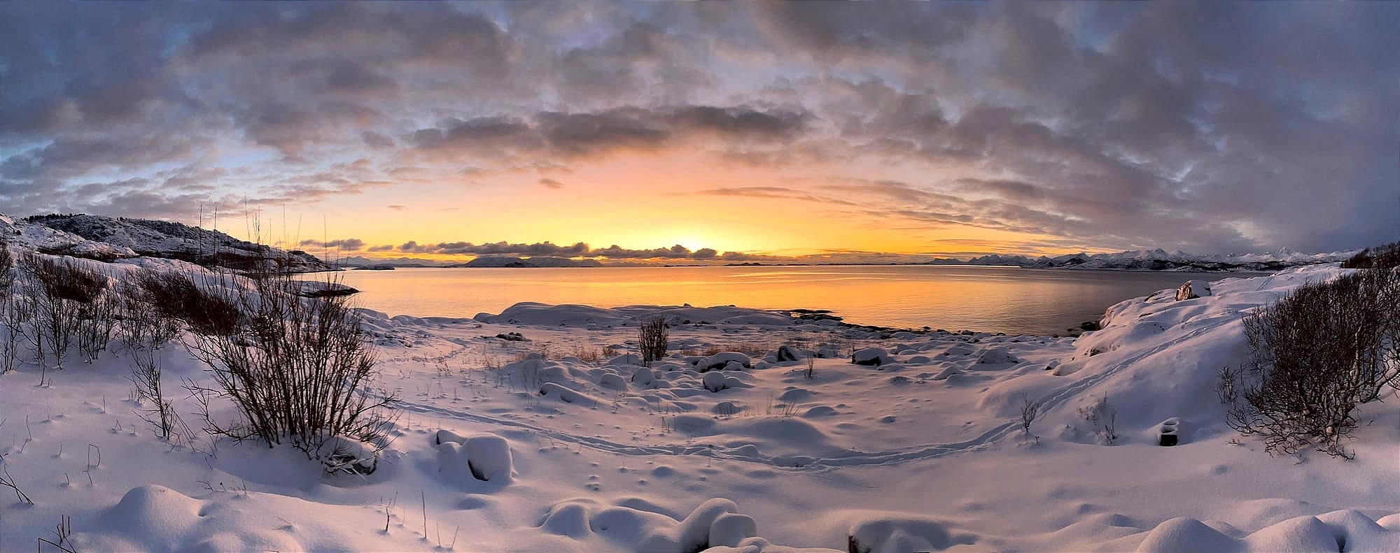 Northern Lights, Brunost & Unexpected Adventures – Winter Adventure in Norway