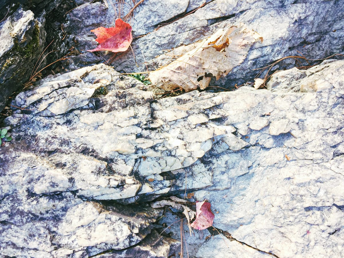 Friendships, Basements & Backslides - Rediscovering Connections and Moving Forward