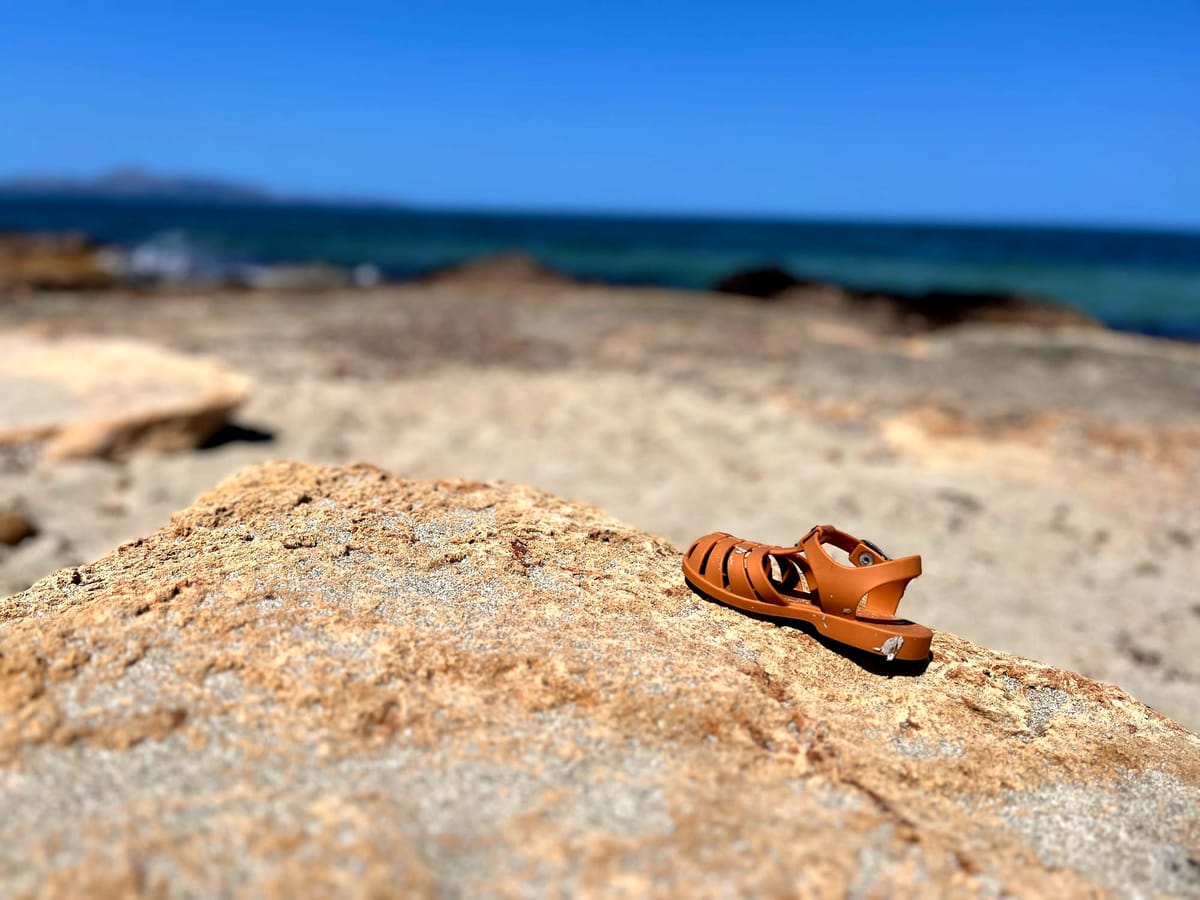 Senile dogs, Banoffee Blues and Learning to Be Alone: Mallorca