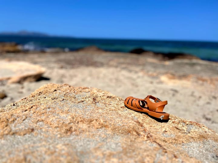 Senile dogs, Banoffee Blues and Learning to Be Alone: Mallorca